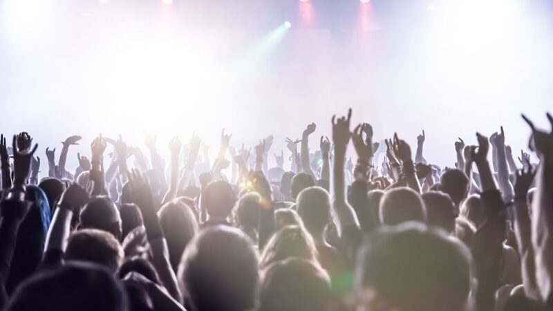 Ostatni Otwarty Koncert Akordeonowy w Wilkasach z muzyką filmową