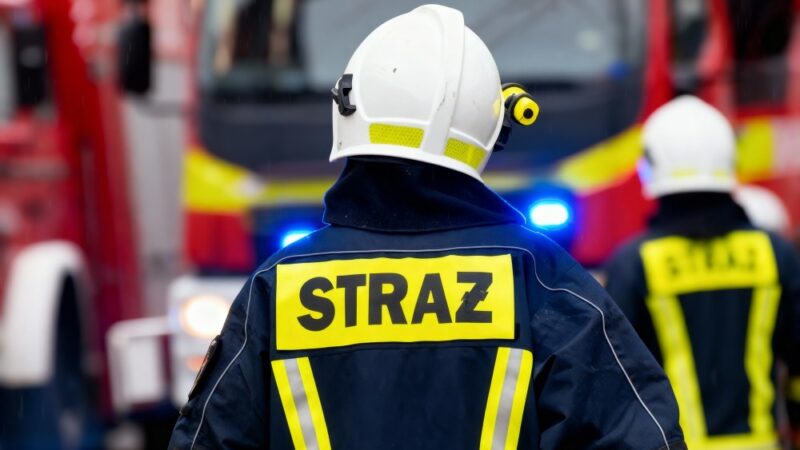 Kreatywność w służbie ratownictwa: Wyróżnienia w Ogólnopolskim Konkursie Plastycznym