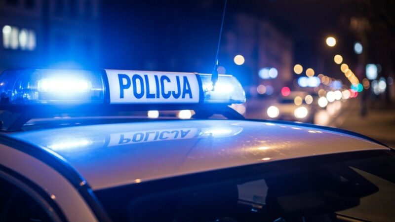 Areszt tymczasowy dla 47-latka podejrzanego o przestępstwa